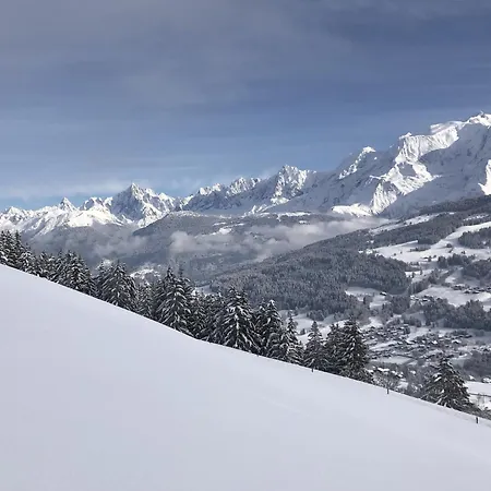 Smartstay - Face Au Mont Blanc Chalet
